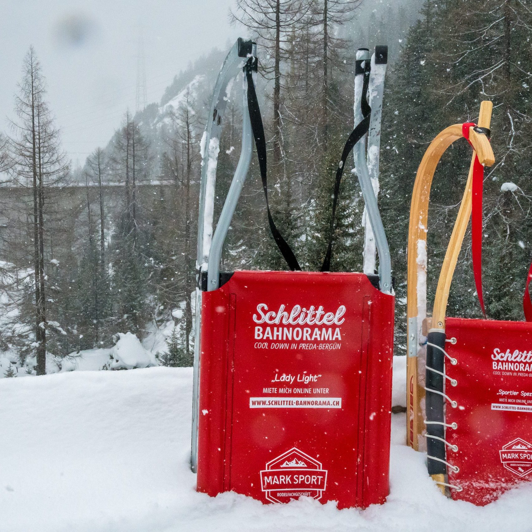 Berguener Rodel Silverlight Panorama Schnee